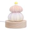 Mushroom LED Night Lamp USB Plug In Night Lamp Cozy Shell Night Lamp  Bedside
