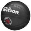Wilson Team Tribute Toronto Raptors Miniball, Unisex-Basketball in Schwarz