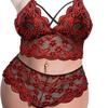Plus Size Sheer Lace Bra & Panty Set - Sexy Teasing Lingerie