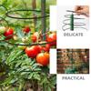 Plant Support Plants Trellis for Climbing Indoor Potted Scaffolding Vine Wrought Iron Plastic Garden Supports