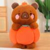Creative Fruit Animal Rabbit Pig Doll Plush Toy Shiba Inu Capybara Doll Children's Soothing Ragdoll Doll
