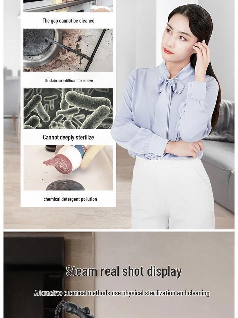 High-Temperature Steam Cleaner for Home, Auto Use, Formaldehyde Removal, & European/American Standards