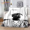 Rapper Eminem Tupac 2pac Hip-Hop Music Rap God Blanket,Soft Throw Blanket for Home Bedroom Bed Sofa Picnic Travel Cover Gift