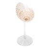 Conch Shell Wine Glass Elegant Unique Creative Drinking Goblet Cocktail Drinks Cup for Wedding Party Bar