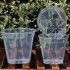 Breathable Flowerpot Transparent PP Blueberry Planter Pot for Phalaenopsis Hydroponics Hot Plants Self-Watering Aerating Plant Pot for Home Garden