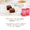 Japanese Style Chocolate Gift Chocolate Japanese Chocolate 30 Pieces Ryoheido