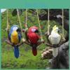 Parrot Hanging Ornament Garden Micro Landscape Resin Craft For Wedding And Party Decor