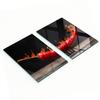 Glass Kitchen Cutting Boards with Chili Pepper Graphics 2X40X52 Cm