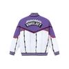 Li Ning Puffer Jacket Raptors Team Men's Ultraviolet AJDR545-2