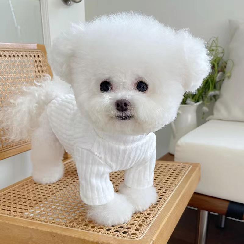 

Dog bottoming shirt autumn and winter knitted thickened cute versatile bottoming teddy bear cat inner top XL chest 50cm back 40 about 10-6.5 kg белый