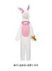 Easter Bunny Costume Adorable Carrot Plush Jumpsuit Winter Festival Stage Performance Attire Halloween Christmas Clothes Set