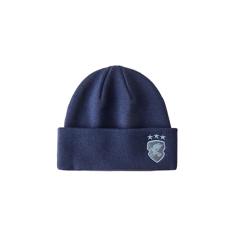 Champion x Harry Potter Knit Beanie