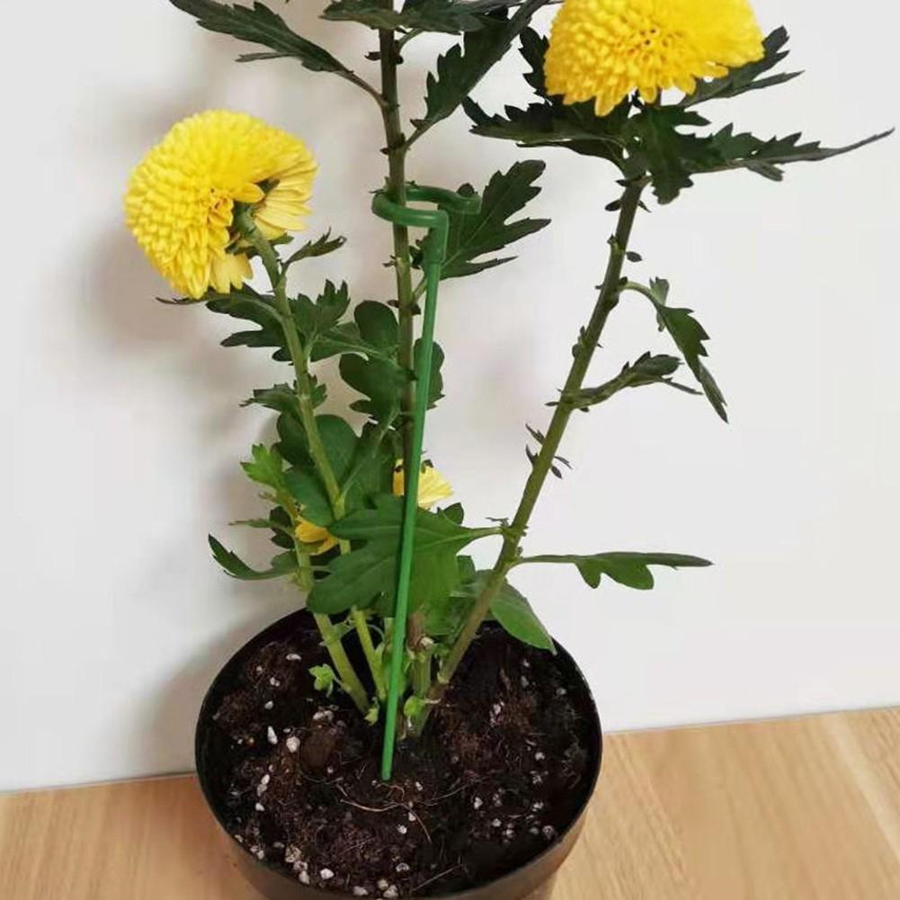 Trellis Flower Stand Phalaenopsis Rod Plant Support