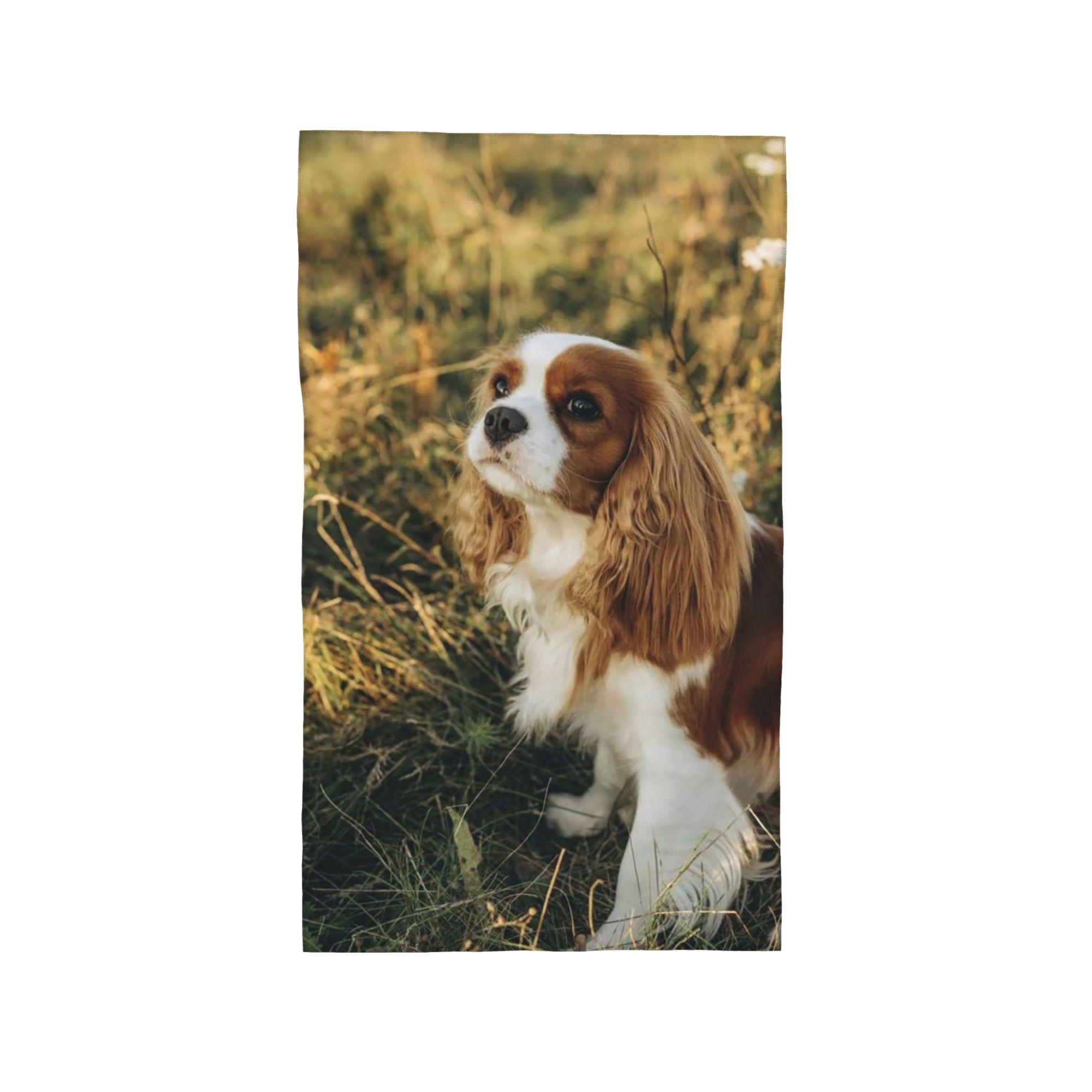 

Cavalier King Charles Spaniel Square Soft Face Towel Quick Dry Pool Bath Cotton Towels Absorbent W40*H60(CM)