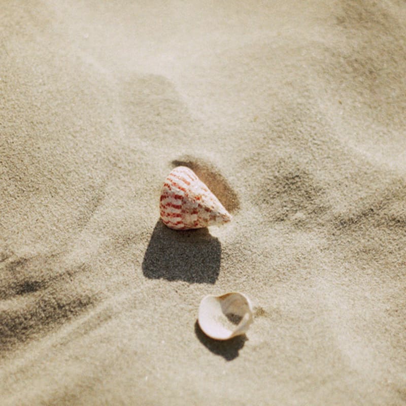 1LSTUDIO PINK OPAL RING
