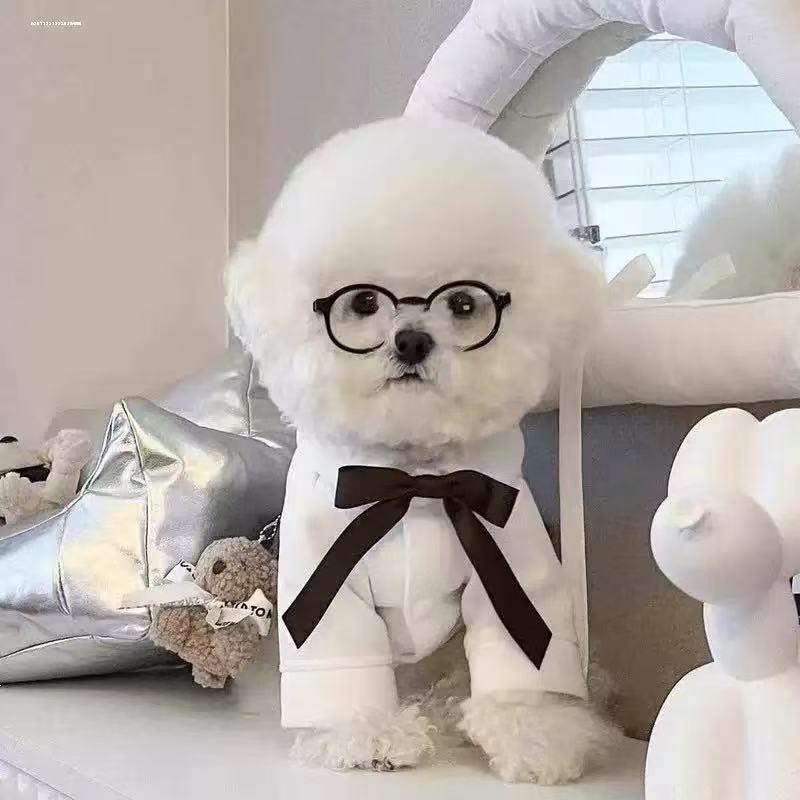 Round glasses cat sunglasses UV protection glasses trendy cool accessories metal glasses pet supplies sunglasses