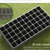 Seedling Tray for Saplings & Succulents - Planting & Sprout Tray with Holes