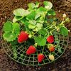 5/10/15/20 Sets Of Strawberry Planting Rack Cultivation Rack Garden Pot Planting Vegetable Rack Fruit Support Gardening Bracket