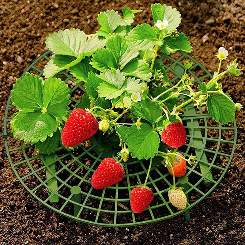 5/10/15/20 Sets Of Strawberry Planting Rack Cultivation Rack Garden Pot Planting Vegetable Rack Fruit Support Gardening Bracket