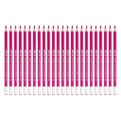 PATIKIL Bunte 24 Stifte und Rosa Wasserlösliche Stifte, Wasserlöslich zum Mischen, Ausmalen, Skizzieren, Malen,