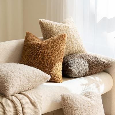 2pcs Nordic Autumn/Winter Solid Color Imitation Lamb Fleece Teddy Roll Plush Pillowcases, Soft and Comfortable, Thick & Warm, Anti-Slip Zipper Closure