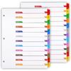 Monthly Binder Dividers for 3 Ring Binder, COIDEA Jan-Dec Dividers for 3 Ring Binder, 12 Tabs Multicolor Month Binder Dividers with Izable Table of