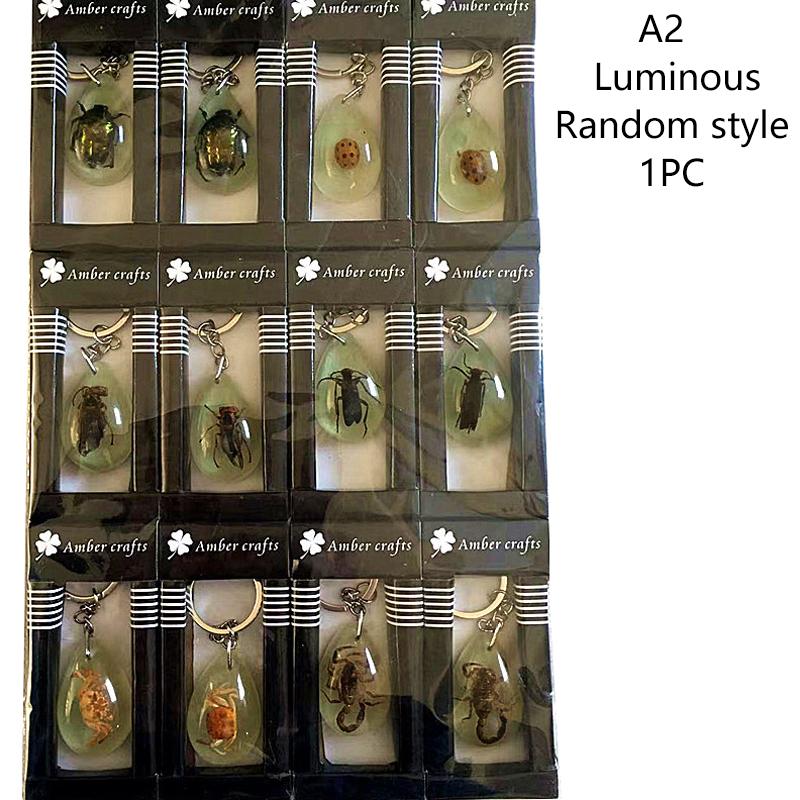 

Случайный стиль 1 шт. янтарный брелок для ключей образец насекомого цепочка кулон скорпион скарабей семь звезд божья коровка оса бабочка автомобильный брелок