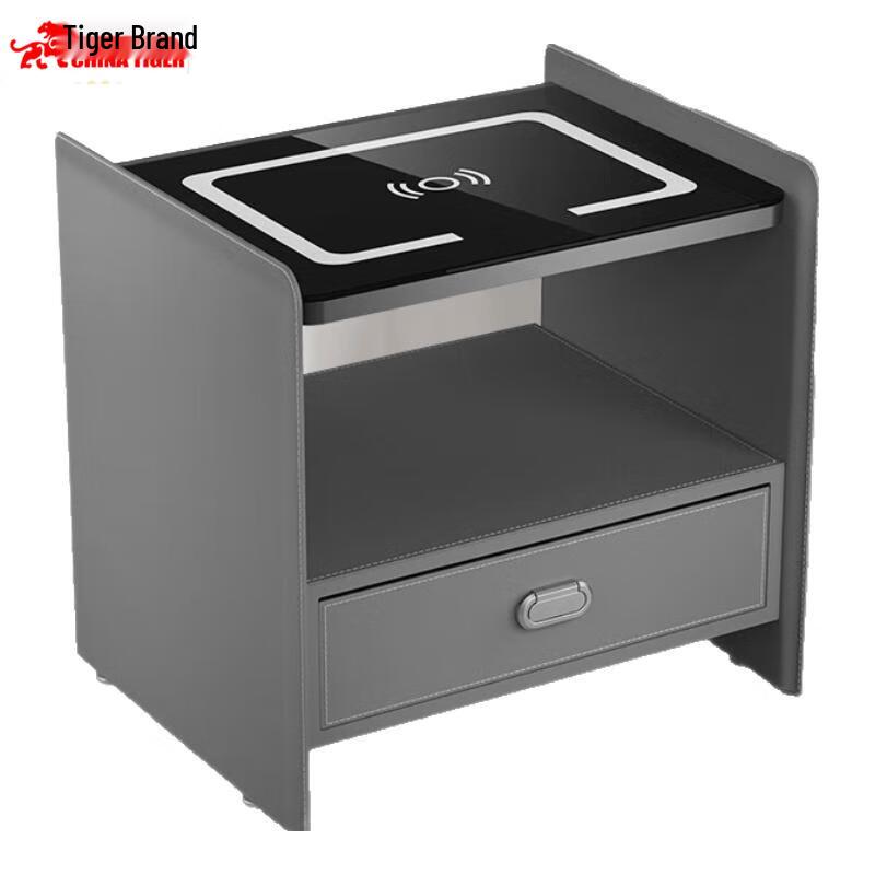 TIGER Fingerprint Home Safe with Hidden Drawer