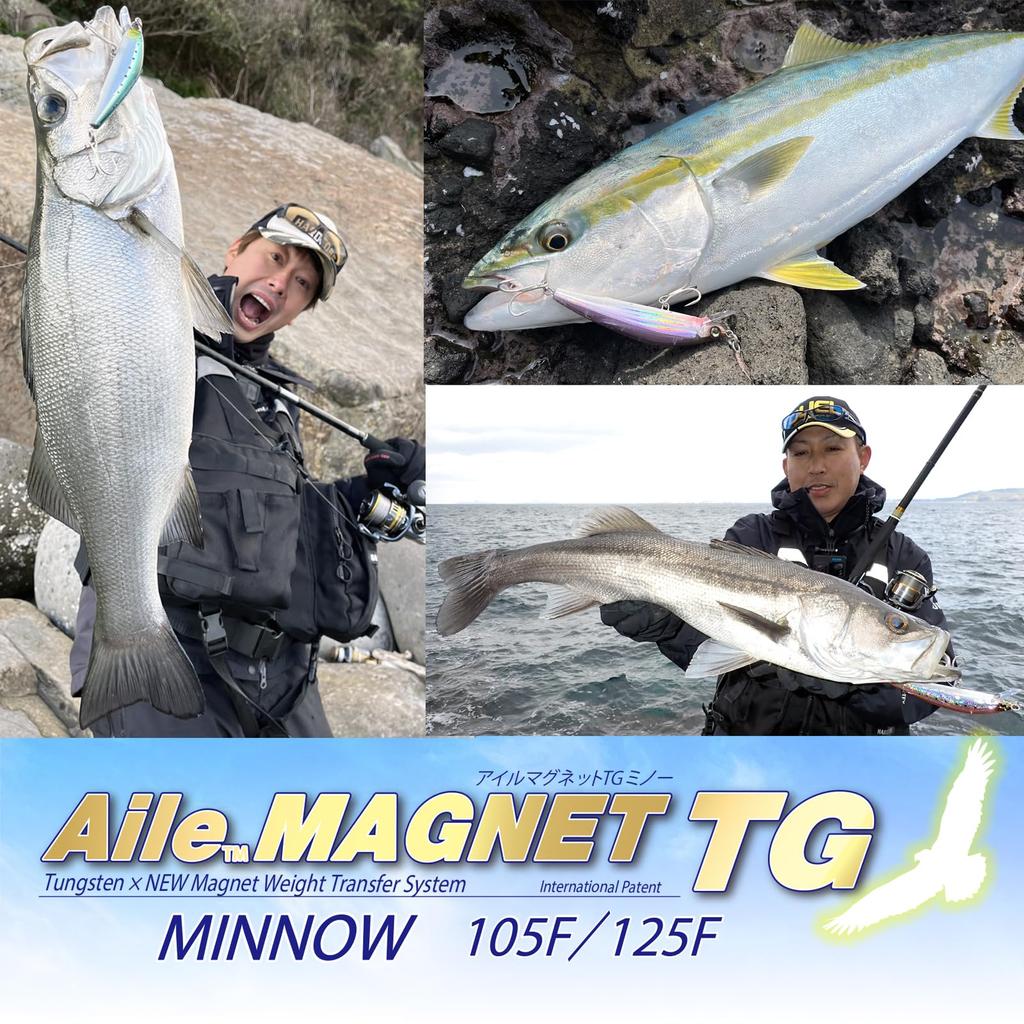 DUEL Isle Magnet TG Minnow 105F 105mm Floating Pink Head Clear
