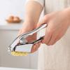 Professional 2 In 1 Garlic Press Aluminum Alloy Comfortable Handle Garlic Crusher Labor-saving Efficient Garlic Slicer Canteen