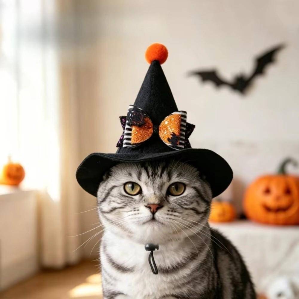 Adjustable Strap Cat Witch Costume Cap Pointed Brim Skeleton Spider Pet Hat Trick or Treat