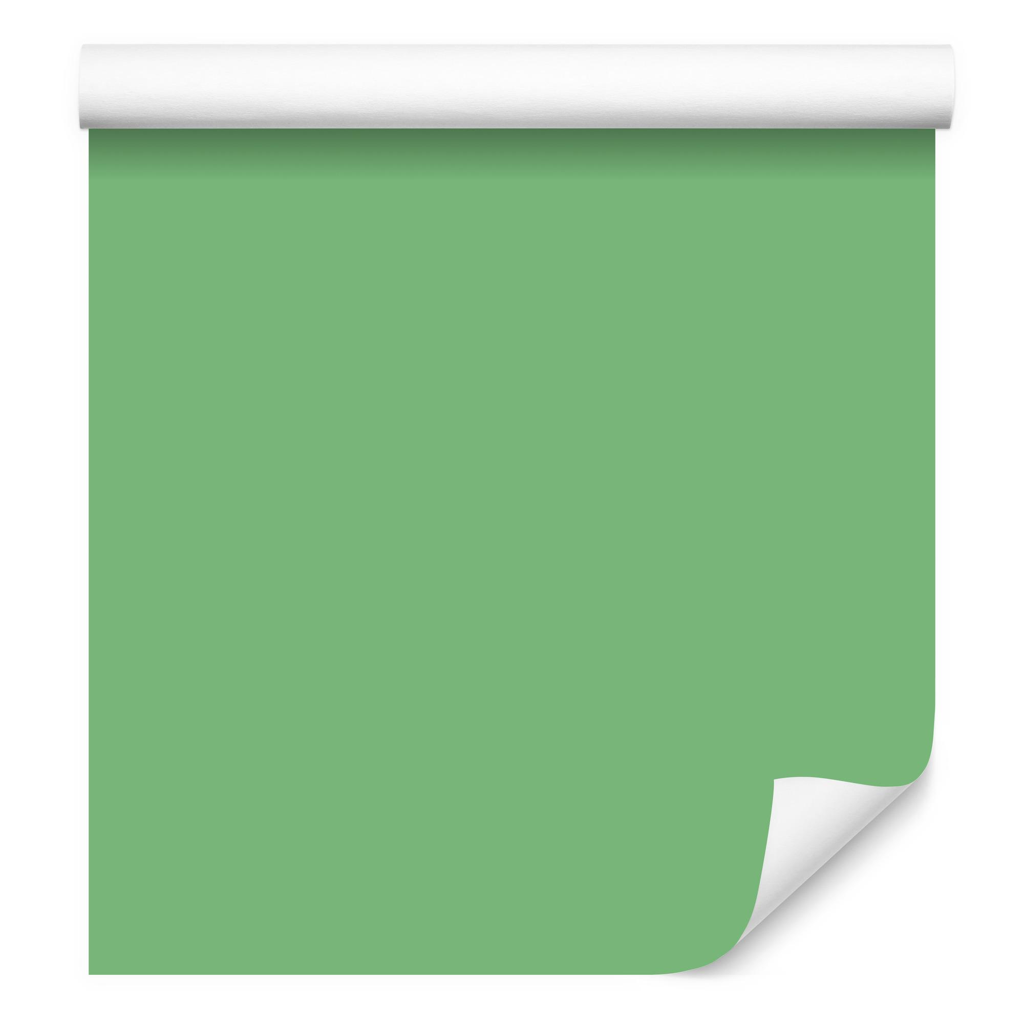 Wallpaper Solid Green Backgrounds, Green Background