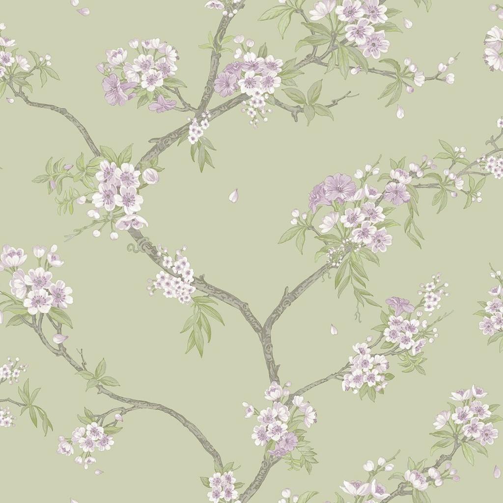 Holden DÃ©cor Cherry Blossom Wallpaper