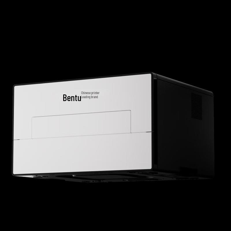 PANTUM BP4200DN B&W Laser Printer CN plug (adapter included)