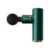 SKG F3 Mini Muscle Fascia Massager Gun CN plug (adapter included)