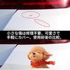 Creative Decoration Car Decal Scar Cover Cute Cat Sticker Cute