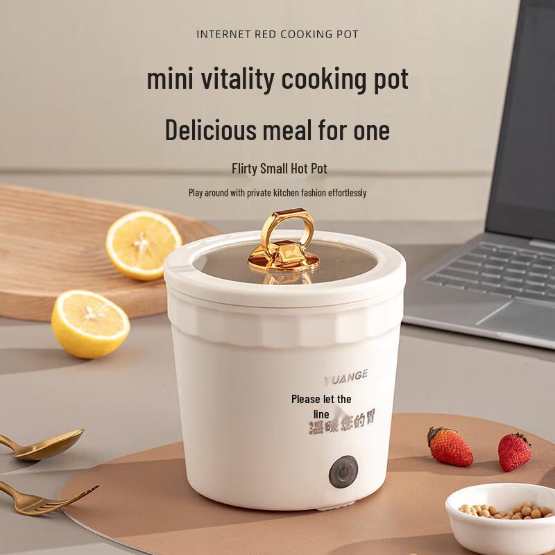 Přenosný mini elektrický multifunkční hrnec