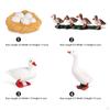Educational Goose Life Cycle Discovery Kit for Young Explorers
