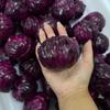 Crunchy Squeeze Red Cabbage Stress Ball-Squeeze Toy For Anxiety Relief,Fidget Sensory Toy For Adults,Soft Feel Asmr Sensory