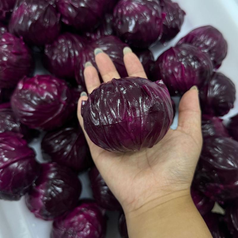 Crunchy Squeeze Red Cabbage Stress Ball-Squeeze Toy For Anxiety Relief,Fidget Sensory Toy For Adults,Soft Feel Asmr Sensory