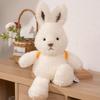 Beibei Animal Plush Toy Backpack Rabbit Children's Doll Fox Doll Cute Dog Ornament Birthday Gift