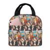 Fall Out Boy Insulated Lunch Bag for Women Office Cooler Thermal Food Box Tote Portable Lunch Boxes Container