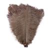 10Pieces Natural Ostrich Feather Wedding Home Decoration 15-20cm25-30cm30-35cm For Party Ostrich Plumes Centerpiece Diy Crafts