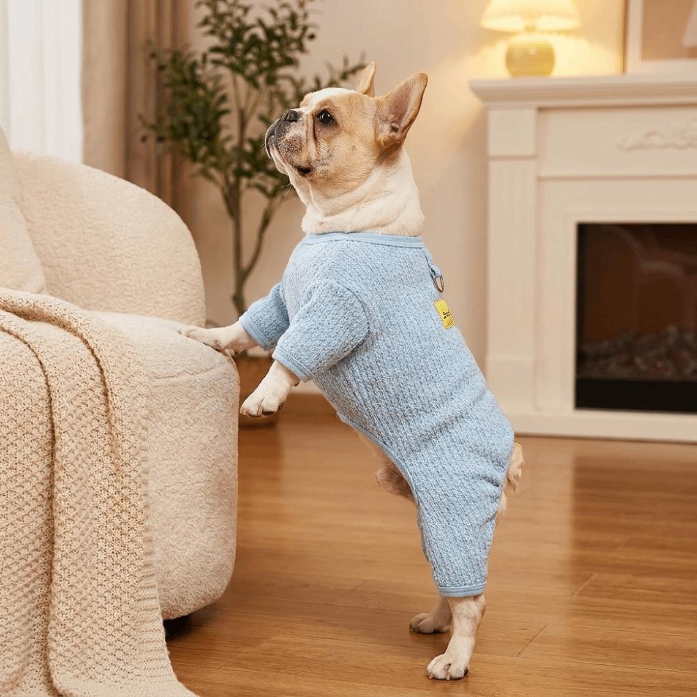 Breathable Mesh Dog Sun Protection Clothes Thin Quick Drying Summer Pet Clothes with Traction Cooling Vest Summer