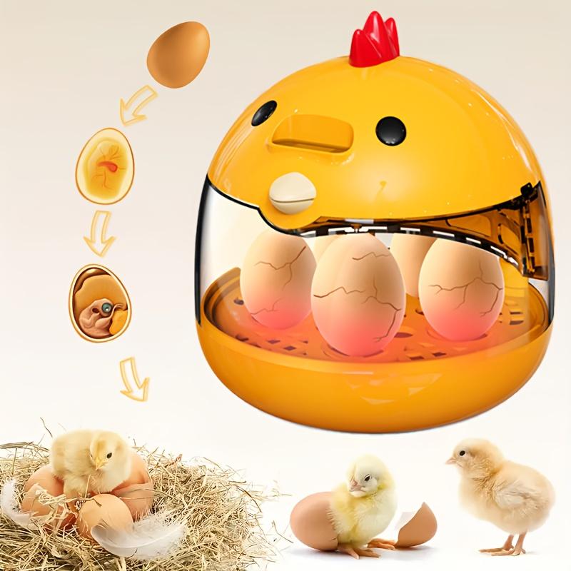 Home Use Educational Egg Incubator for Chicken Duck Goose Bird Eggs Easy Operation Fertilization Rate Above 90%