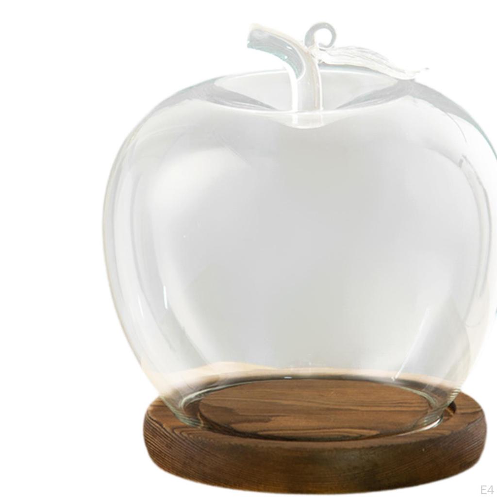 Klare Glaskuppel-Glasdose Durchmesser 3,5 Zoll DIY Bastel-Ausstellung Holzsockel zur Dekoration Figuren Heimdeko