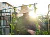 Garden Climbing Frame: Steel Plant and Flower Support for Vines on Balcony