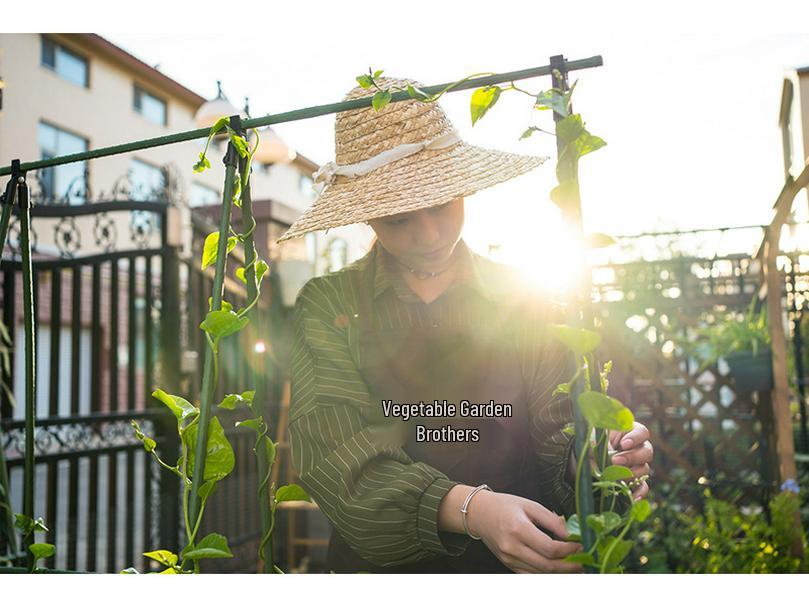 Garden Climbing Frame: Steel Plant and Flower Support for Vines on Balcony