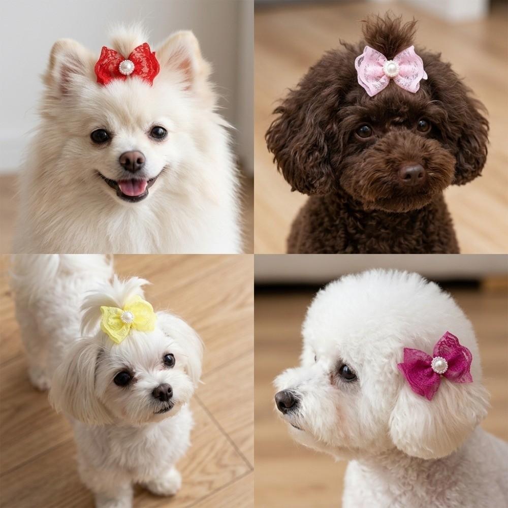 20Pcs Non-elastic Dog Hair Flower Bow Shape Pet Lace Headwear Pet Bow Hair Band  Daily Decoration