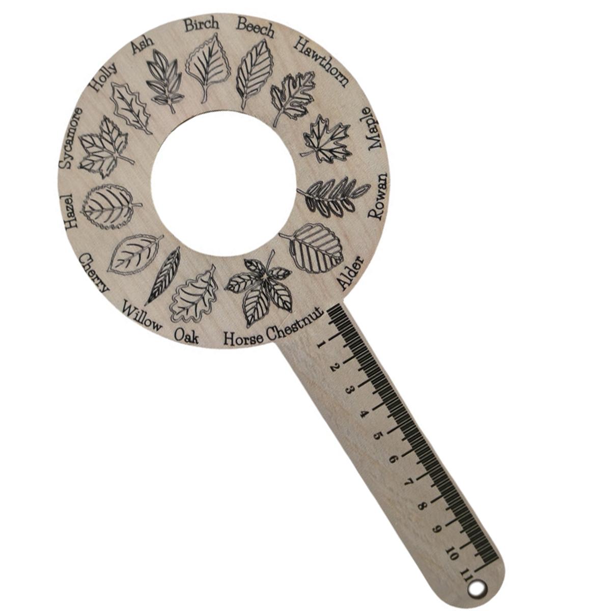 

Поднос для идентификации листьев из дерева для улицы, Креативный ботанический научный набор для изучения природы, Лесная школа, Осеннее украшение и Лист Ар